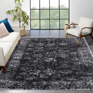 Coucheta Machine Washable Runner Rug, Non-Slip Low Pile Vintage Distressed Carpet for Kitchen Hallway Bedroom Entryway,Multiple sizes and colors - 1 of 4