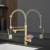 Professional Kitchen Faucet with Retractable Sprayer, Single-Lever Sink Fixture - 2 of 4