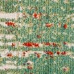 sage/rust