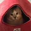 Yeti Pet Cave Pet Bed for Cats and Small Dogs, 100% New Zealand Wool, Red - 3 of 4