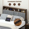 COMHOMA Metal Bed Frame with 2 Storage Drawers,  Power Outlets, 2-Tier Storage Headboard, LED Lighting - 4 of 4