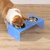THE LICKER STORE Keaton Modern Acrylic Rectangular Elevated Pet Feeder - 2 of 4