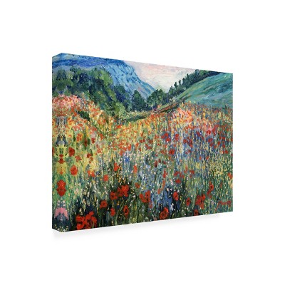 14x19 Colorful Landscape Aluminum Framed Canvas Print