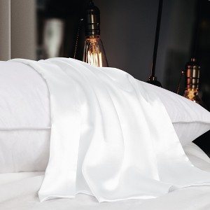 1 Pc 100% Mulberry Silk Fabric Pillow Case - PiccoCasa - 1 of 4