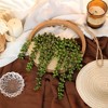 Aoibox 2 Pack Artificial Succulent Hanging Plants, 12.2" Fake String of Pearls in Wooden Pot with 8.3" Rope for Indoor Outdoor Wall Decor - 4 of 4