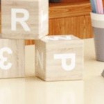 natural+3 piece+lion&monkey