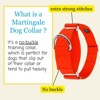 Country Brook Petz HossFit Jr Wide Martingale Dog Collar - Training Collar with No Buckle - Vibrant, Colorful Collection - 3 of 4