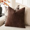 LISM Throw Pillow Covers 2-Pack Chenille Decorative Pillowcases Accent Cushion Cover for Home - 4 of 4