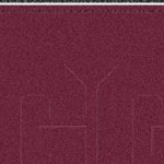 texas a&m aggies