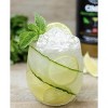 Crafted Cocktails Basil Martini Gimlet Mix: 2 Pack  60 Calories, Handcrafted with Agave, Lime and Basil  Effortless Mixology with Gourmet Flavor - 4 of 4