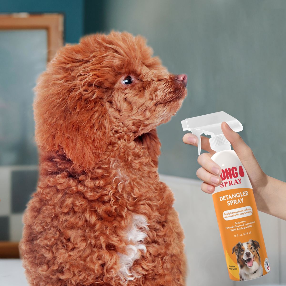 KONG Detangler Spray Fruit and Cucumber Scented Dog Conditioner - 16 fl oz - thumbnail 4