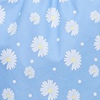 blue daisy