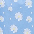 blue daisy