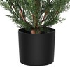 Artificial Cedar Topiary Trees (Set of 2) - UV Protected Faux Boxwood Shrubs for Indoor/Outdoor Decor - 3 of 4