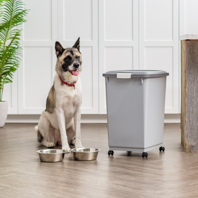 Gray and Dark Gray Airtight Plastic Pet Food Storage Bin with Wheels