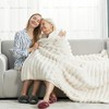 Aoibox Faux Fur Throw Blanket for Couch, Cozy Warm Plush Striped Blanket for Sofa Bedroom Living Room in Cream White - 2 of 4