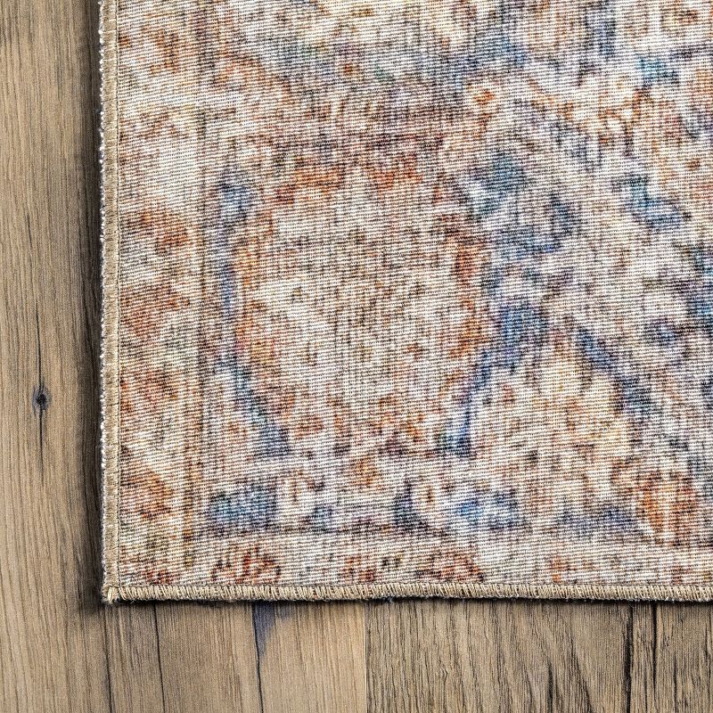 nuLOOM Brianna Traditional Distressed Area Rug, 6 of 11