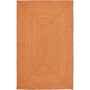 Braided BRD166 Hand Woven Rug - Safavieh - 1 of 4