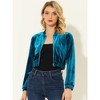 INSPIRE CHIC Women's Velvet Stand Collar Long Sleeve Crop Zip-Up Jacket - image 2 of 4