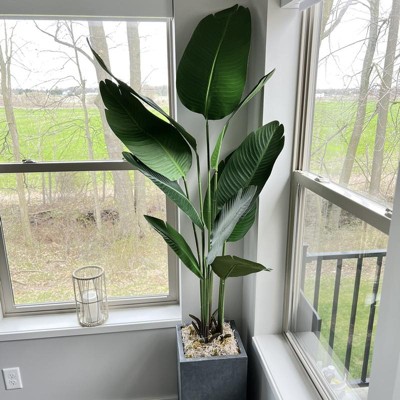 Guest review image 1 of 2, zoom in