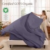 260 Thread Count Organic Cotton Percale Bed Sheet Set by Bare Home - 2 of 4