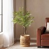 Okak Indoor Faux Nandina Tree with Real-Life Look, Artificial Tree with Black Plastic Pod, Easy Maintenance Fake Plants for Home, Green, Green - 3 of 4