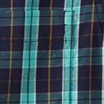tidal green plaid
