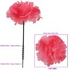Floral Home 5" Stem Long Hot Pink Carnation Pick - 100-Piece - 3 of 4