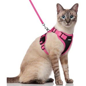 rabbitgoo Cat Harness and Leash Set, Escape , Easy Control Breathable Kitten Jacket with Reflective Strips, Black & Rose Pink, S - 1 of 1