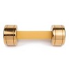 Blogilates Dumbbell - Gold 8lbs  Dumbbell, Blogilates, Hand weights