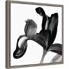 Amanti Art Iris I Black on White by David Pollard Canvas Wall Art Print Framed 16 x 16-in. - 3 of 4