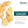 Himalaya Organic Ginger, Digestive Relief Supplement for Nausea, Gas and Occasional Upset Stomach, 820 mg, 60 Caplets, 2 Month Supply - 3 of 4