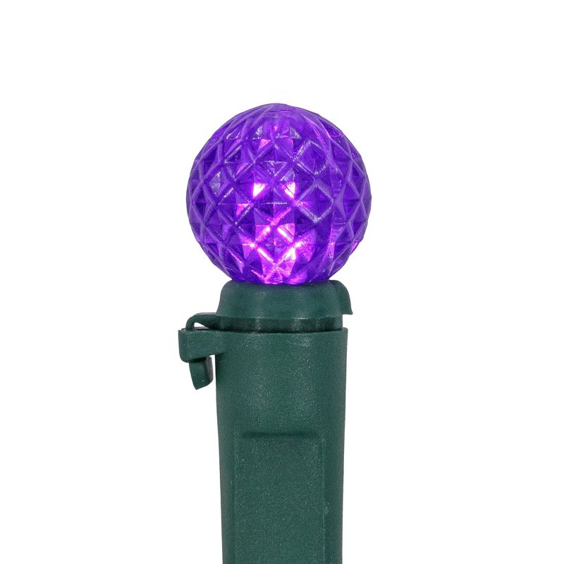 Northlight LED G12 Berry Christmas Lights - 16' Green Wire - Purple - 50 ct, 4 of 6