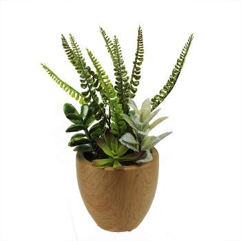 Northlight 12" Mixed Succulents and Fern Artificial Potted Arrangement - Green/Brown