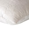 Parkland Collection,Iphis Transitional Quilted Throw Pillow - 4 of 4