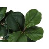 Gulches 32in Artificial Fiddle Tree in Black Pot Green Real Touch Leaves Indoor Faux Floor Plant for Home Office Decor - 4 of 4