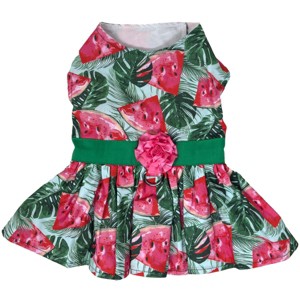 Doggie Design Juicy Watermelon Dog Dress with Matching Leash - 1 of 3