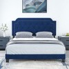 Tangkula Queen Size Velvet Platform Bed w/ Button Tufted & Nailhead Trim Headboard - 3 of 4