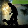 Unique Bargains Nylon Dog Leash Sponge Handle Reflective Rope Length 70.87" Diameter 1/2 inch - 2 of 4