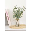 Attop Eucalyptus Stems in Glass Vase with Faux Water,3Pcs Fake Plant with Double-Sided Green Leaves for Centerpiece - 2 of 4