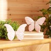 Resin Butterfly (Set of 4) - 3 of 4