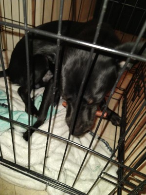 Guest review image 1 of 1, zoom in