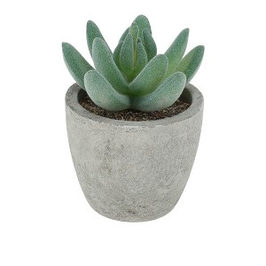 Unique Bargains Artificial Plants Large Mini Pulp with Cactus Finger Plastic 2.36"x2.36"x3.35" 1 Pc - 1 of 4