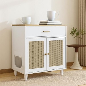 Acekool 2-in-1 Cat Litter Cabinet - Hidden Box with Scratching Posts & Storage Drawer - 1 of 4