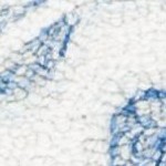 ivory/blue