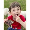Sunbiotics Organics Activated Almonds - Infused with Probiotic - Oat Milk Chocolate - 4 of 4