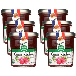Lucien Georgelin Organic Raspberry Fruit Spread  - Case of 6/11.28 oz - 1 of 4