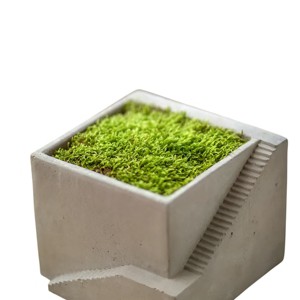 Slickblue Architectural Cube Cement Planter, Ladder Accent, Indoor Decorative Pot, Styles I, II, III, 6.75" - 1 of 3