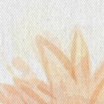 farmhouse gray