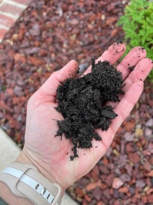 Guest review image 2 of 3, zoom in